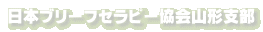 日本ブリーフセラピー協会山形支部