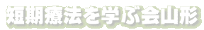 短期療法を学ぶ会山形